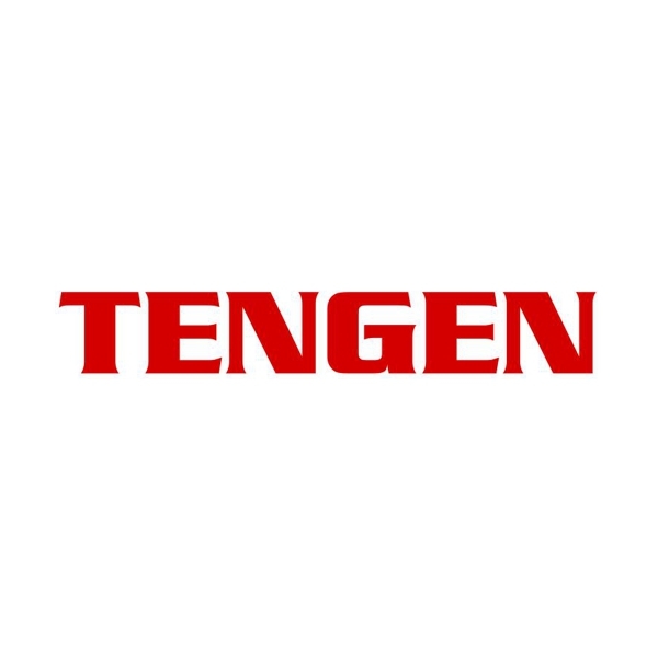 Logo of Tengen / This image is derived from a logo uploaded to Wikimedia Commons. / Image credit: Tengen