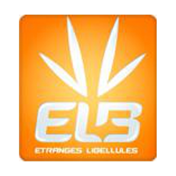 Logo of Étranges Libellules / This image is derived from a logo uploaded to Wikimedia Commons. / Image credit: Étranges Libellules